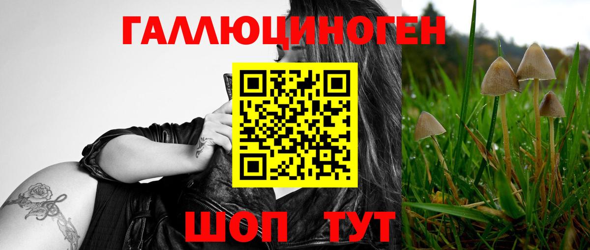 Галлюциногенные грибы Magic Shrooms  Псилоцибиновые грибы GOLDEN TEACHER  Семёнов  Вход с VPN 